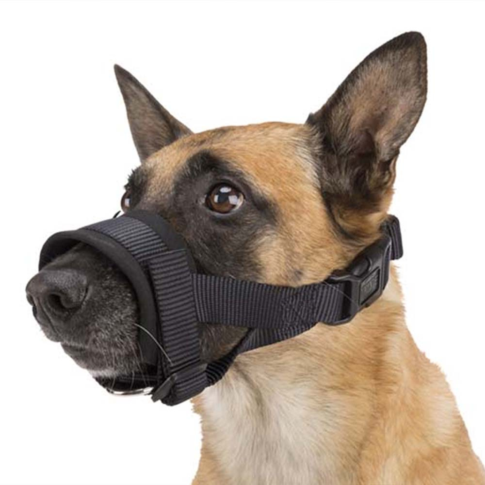 Filet de nez rembourré Noir