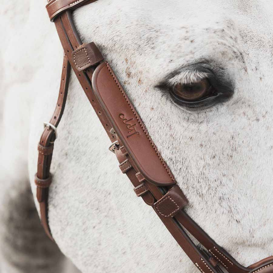 Clignotants Supreme Oak Bark