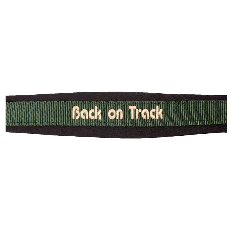 Licol Werano Vert Cob