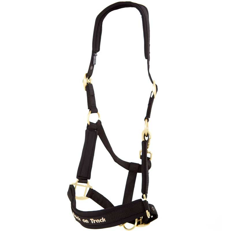 Licol Werano Noir Cob