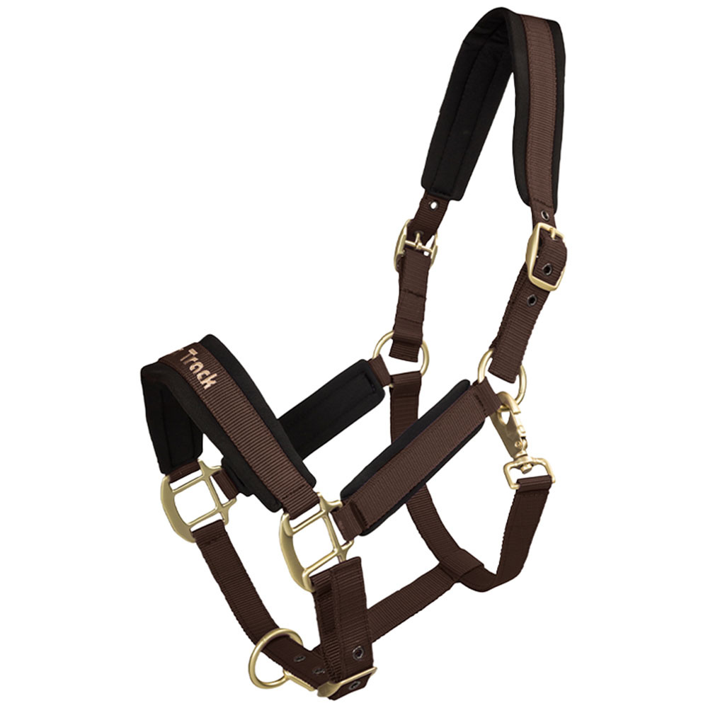 Licol Werano Marron