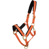 Licol Werano Orange Licol Werano Orange