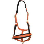 Licol Werano Orange Licol Werano Orange