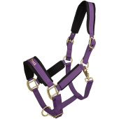 Licol Werano Violet Licol Werano Violet