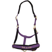 Licol Werano Violet Licol Werano Violet