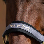 Licol Werano Gris Licol Werano Gris