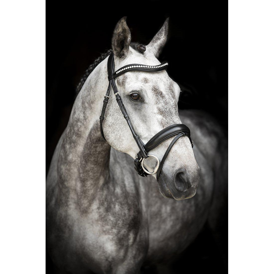 Bride de dressage Courbette Noir