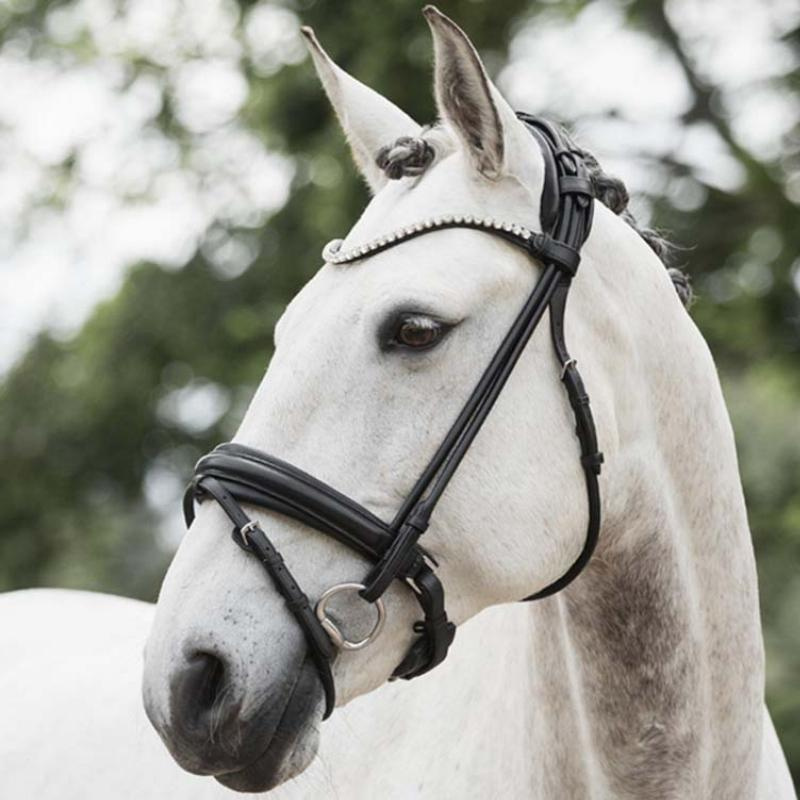 Bridon de dressage Caselle Supreme Noir
