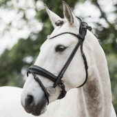 Bridon de dressage Caselle Supreme Noir Bridon de dressage Caselle Supreme Noir