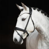 Bridon de dressage Caselle Supreme Noir Bridon de dressage Caselle Supreme Noir
