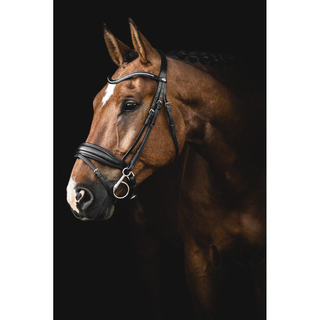 Bride de dressage Integro Marron