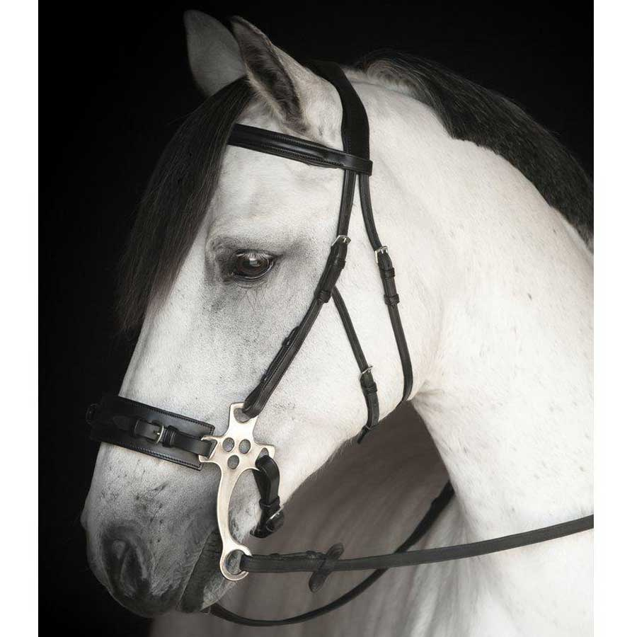Brides Hackamore Chester Supreme Noir  