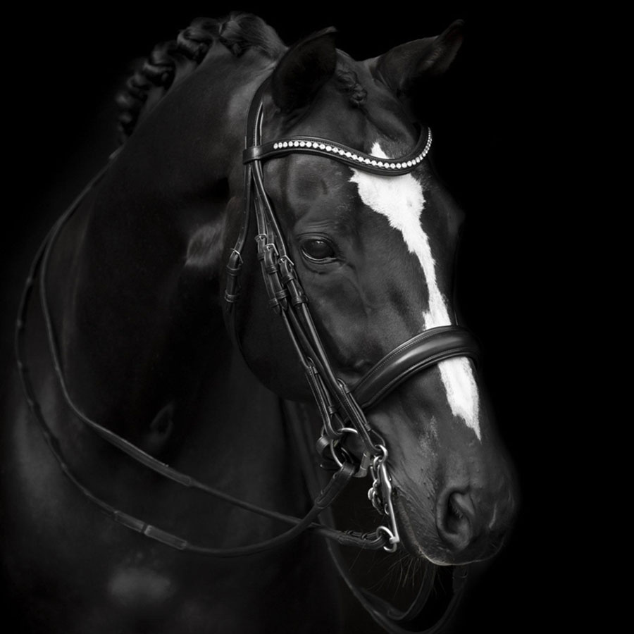 Bridon sans mors Delicato Supreme Noir