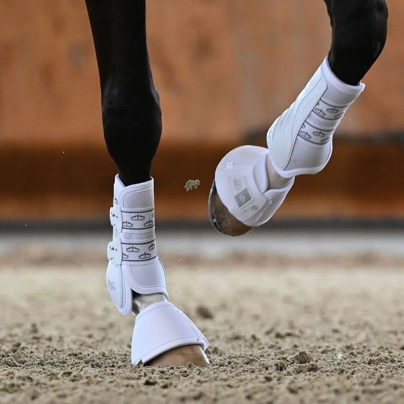 Guêtres de dressage avant élastique Absolute Blanc