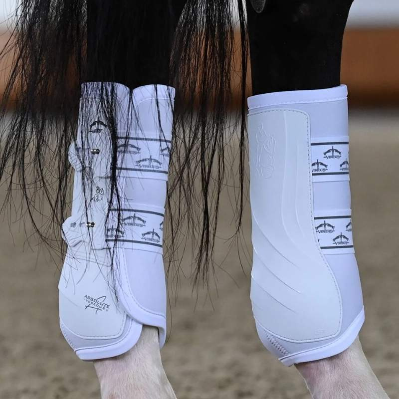 Guêtres de dressage arrière élastique Absolute Blanc