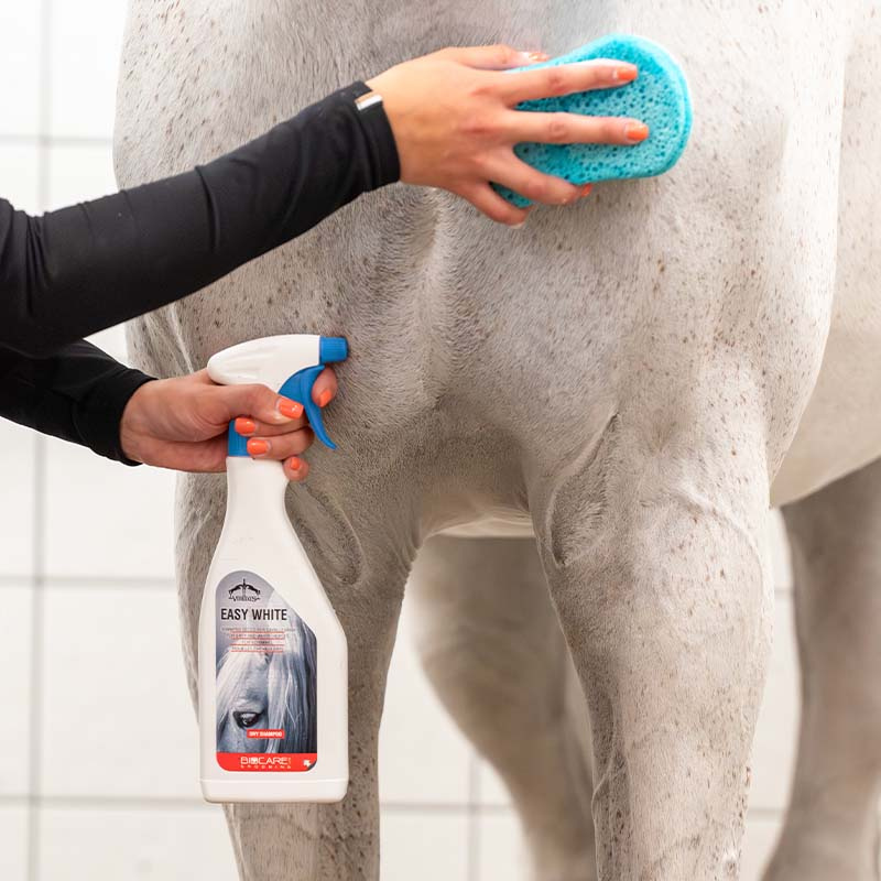 Shampoing sec Easy White 500ml