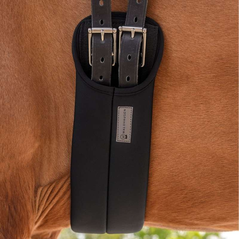 Sangle de dressage Super Soft Noir