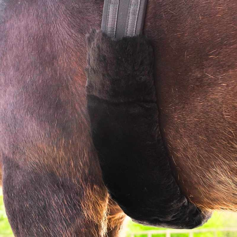 Fourreau de sangle Lambskin Noir