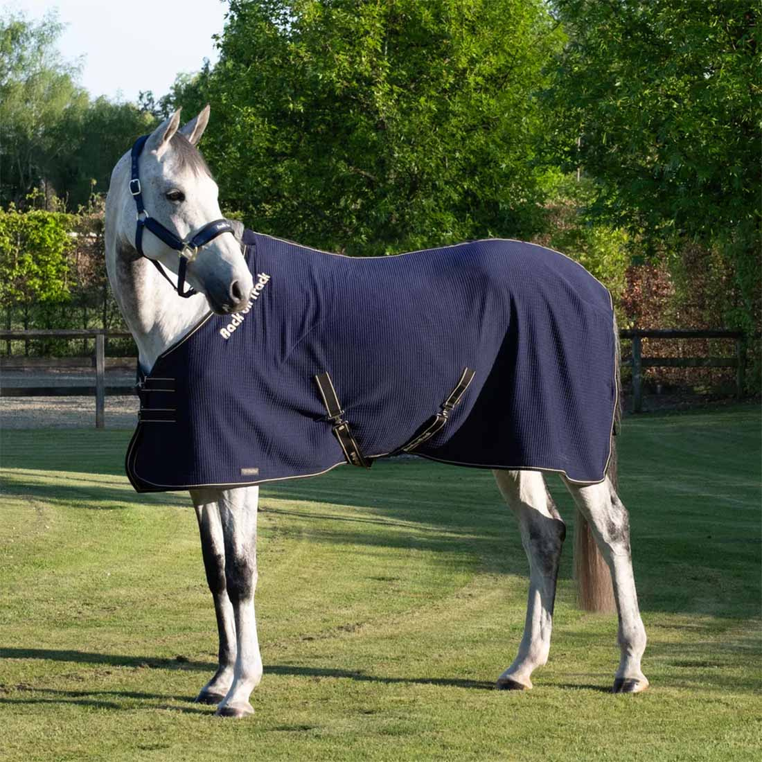 Couverture rafraîchissante Quick Cooler Bleu