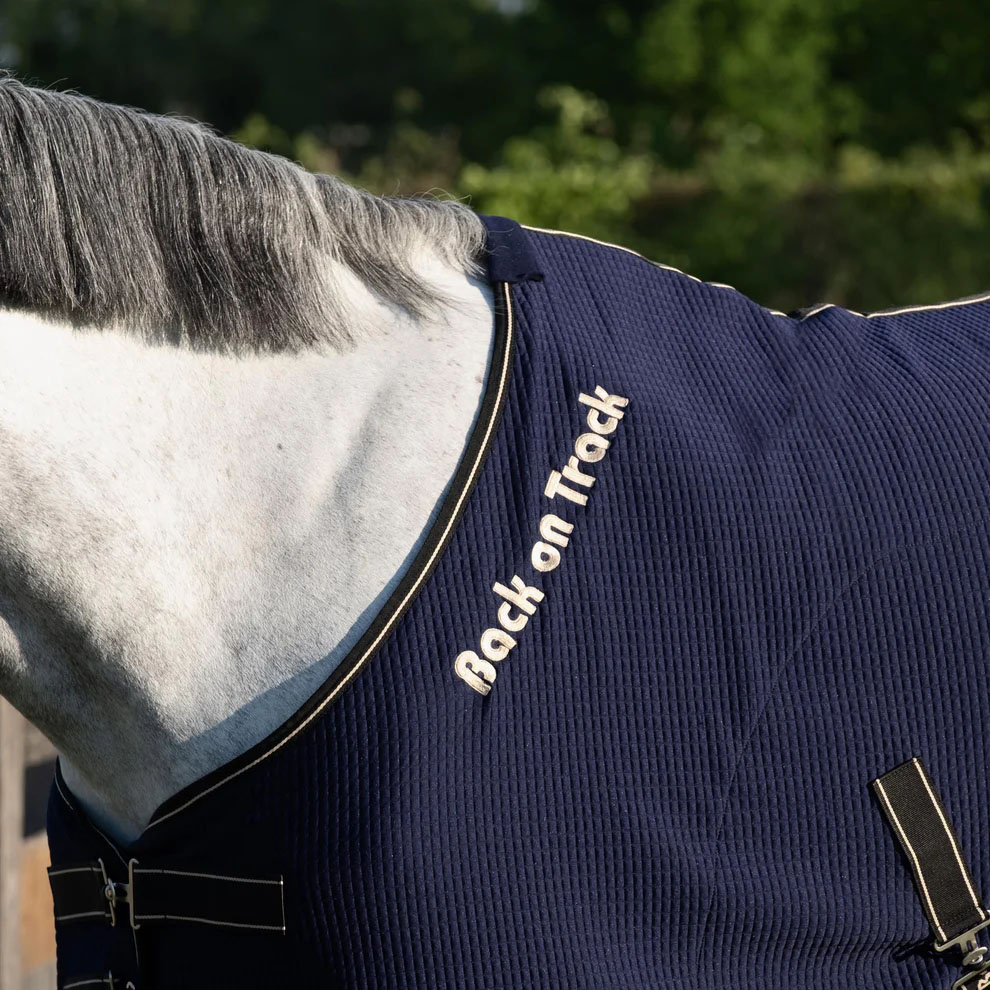 Couverture rafraîchissante Quick Cooler Bleu