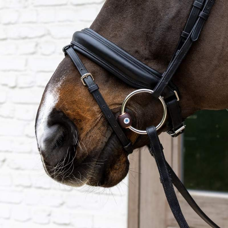 Mors Flex à Anneaux Libres Hard 20mm