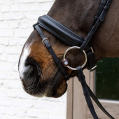 Mors Flex à Anneaux Libres Hard 20mm Mors Flex à Anneaux Libres Hard 20mm