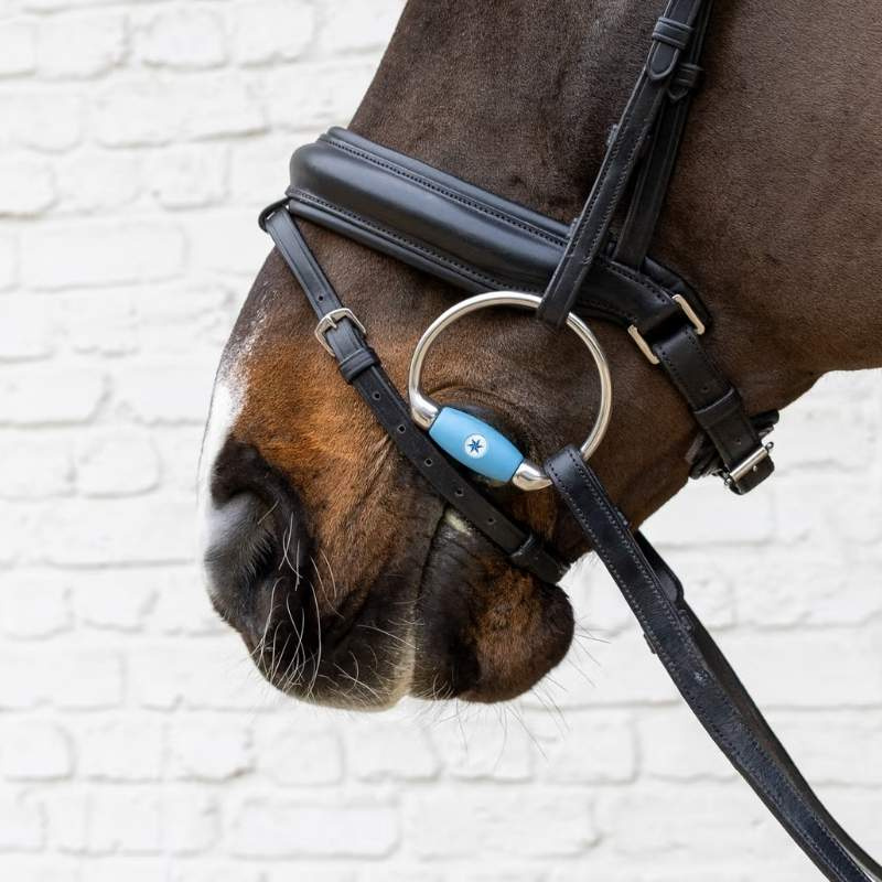 Mors à olives Flex Medium 20mm