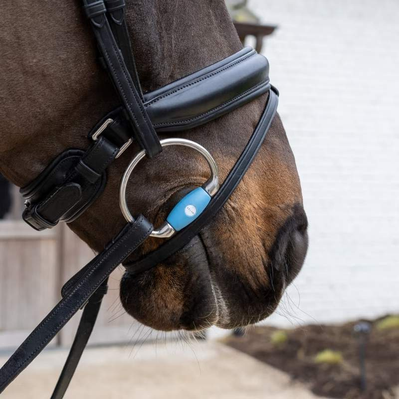 Mors à olives Flex Medium 20mm