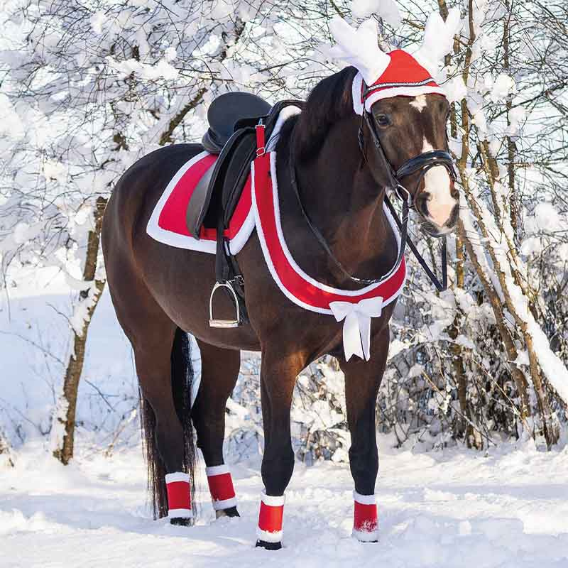 Collier de chasse Christmas Rouge/Blanc