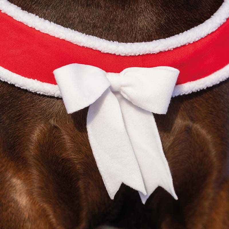 Collier de chasse Christmas Rouge/Blanc