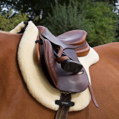 Tapis de selle Teddy Naturel