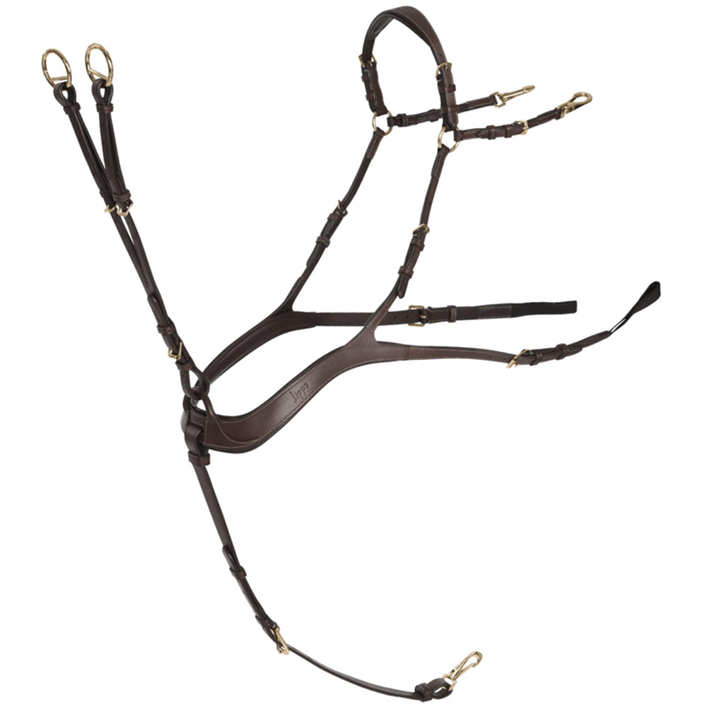 Sangle anatomique avec martingale Chocolate/Or