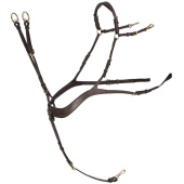 Sangle anatomique avec martingale Chocolate/Or Sangle anatomique avec martingale Chocolate/Or