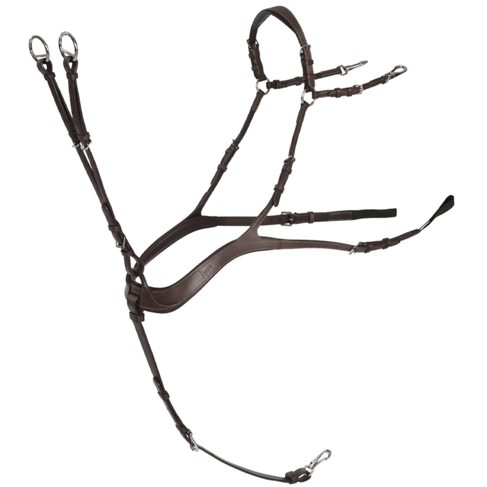 Sangle anatomique avec martingale Chocolate/Argent