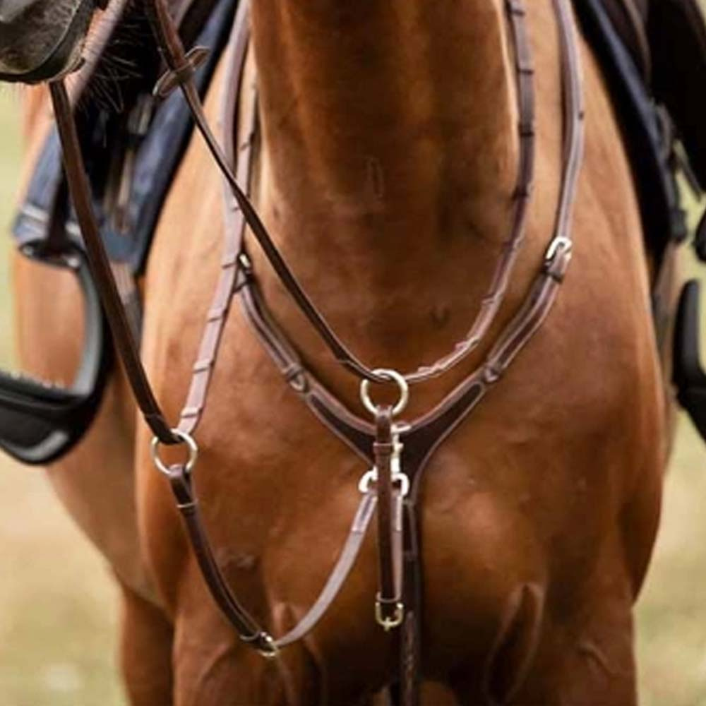 Colliers de chasse avec Martingale Fazzino Marron