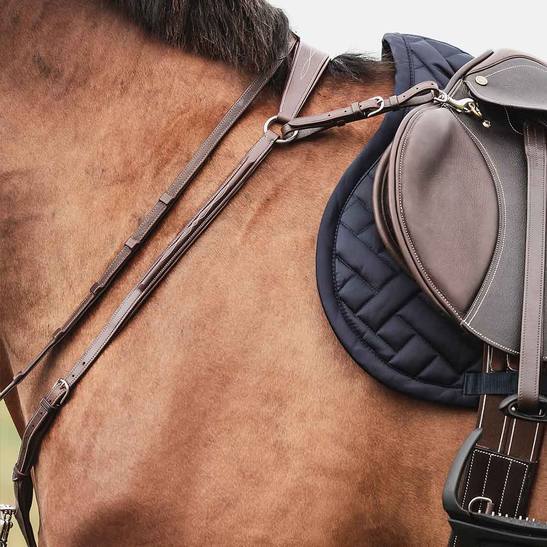 Colliers de chasse avec Martingale Fazzino Marron