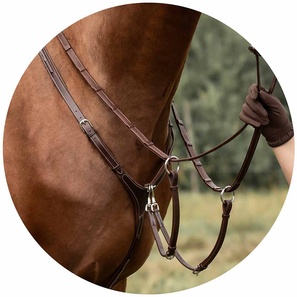 Colliers de chasse avec Martingale Fazzino Marron