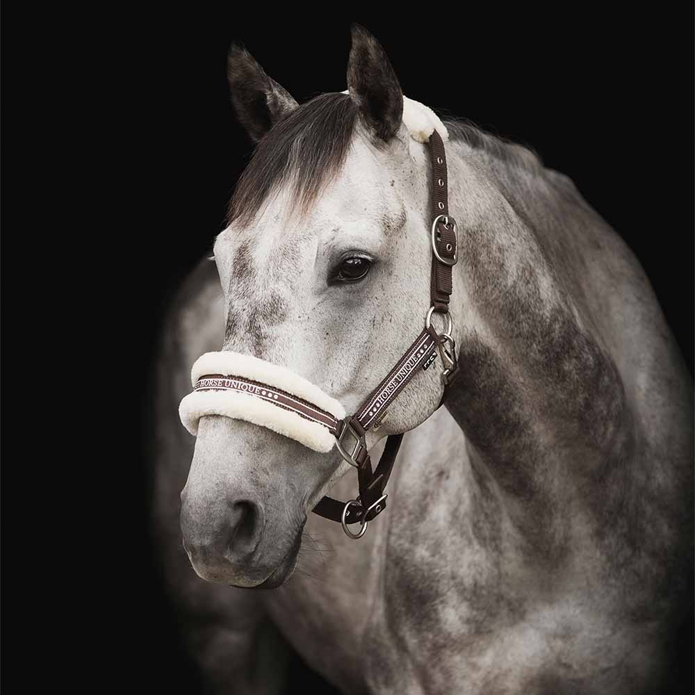 Licol avec Ludd Brun/Naturel