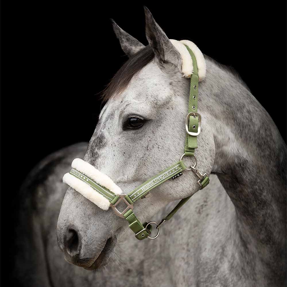 Licol avec Ludd Vert Olive/Naturel