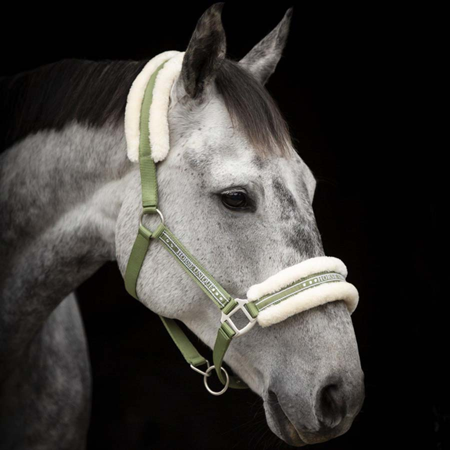 Licol avec Ludd Vert Olive/Naturel