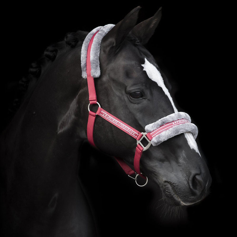 Licol avec Mouton Rouge/Gris