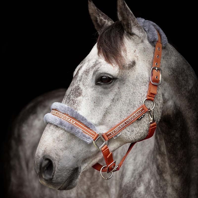 Licol avec Mouton Orange/Gris