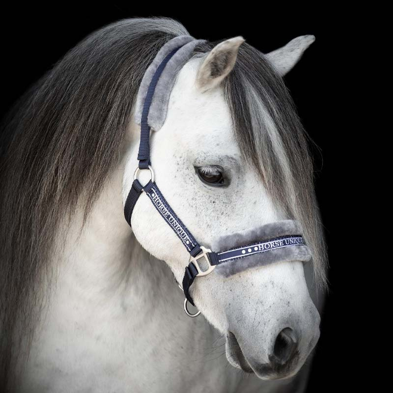 Licol avec Mouton Bleu marine/Gris