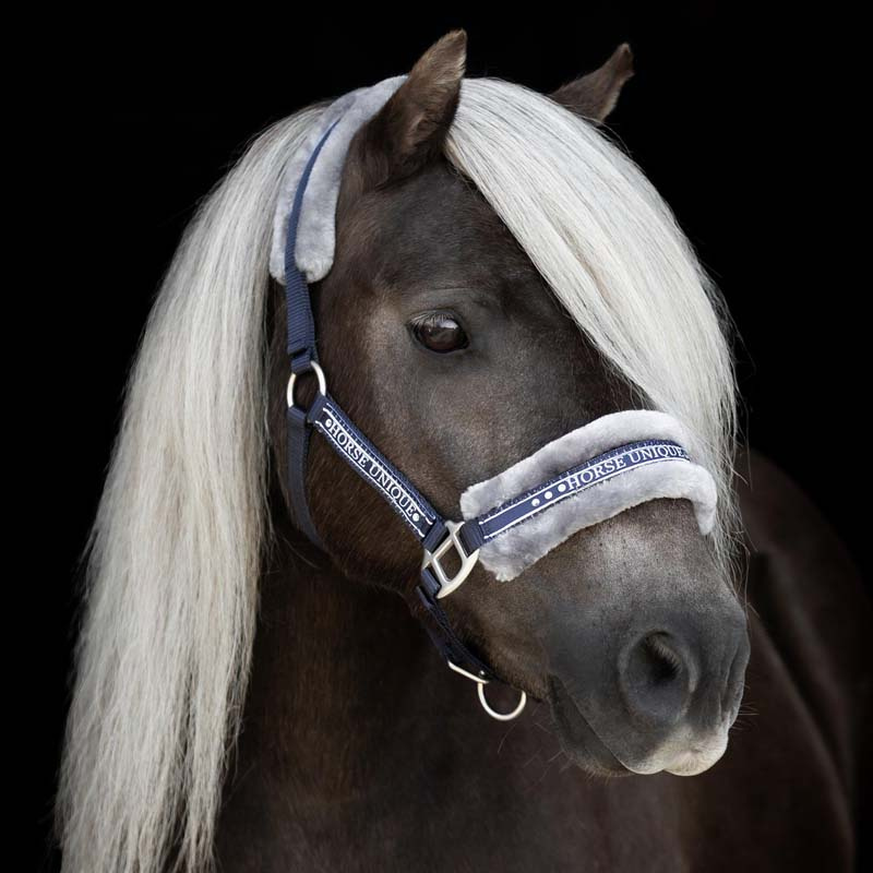 Licol avec Mouton Bleu marine/Gris