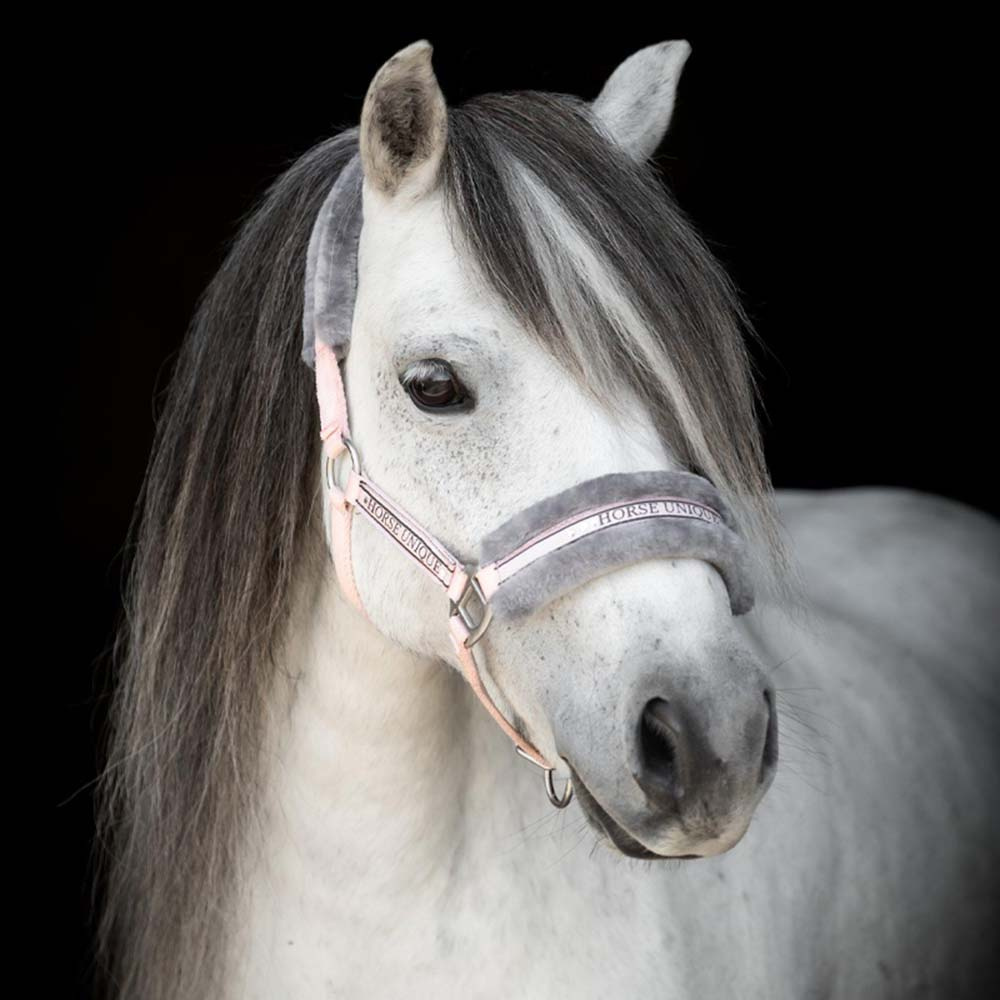 Licol avec Mouton Rose Clair/Gris