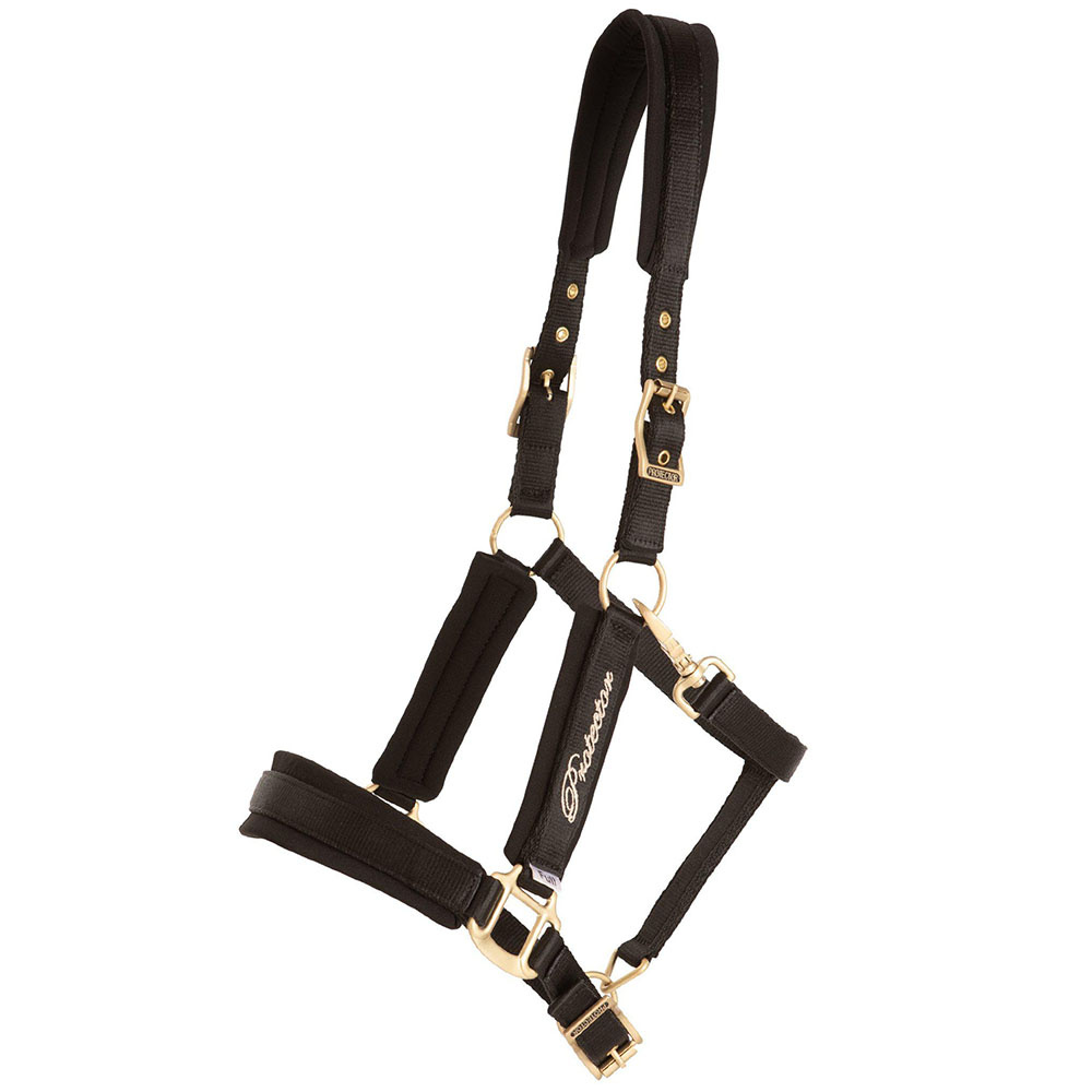 Licol Comfort Noir