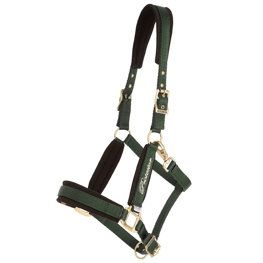 Licol Comfort Vert