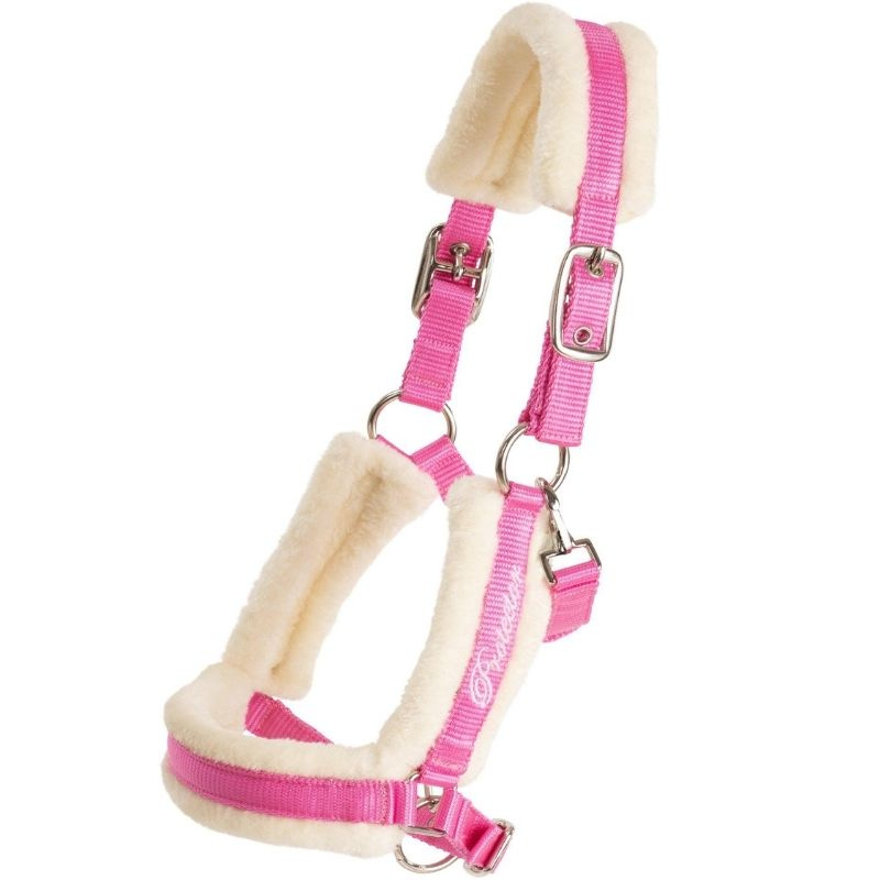 Licol pour poulain Kenzo Rose