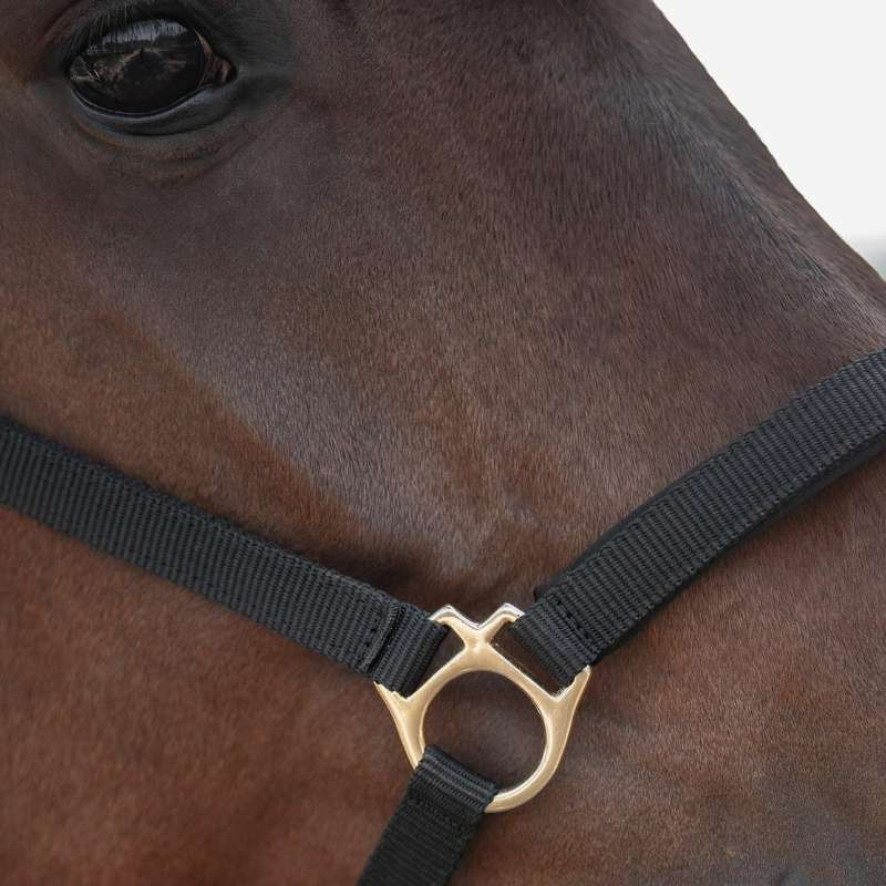 Licol Track Noir