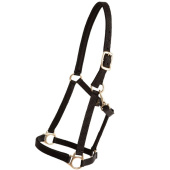 Licol Track Noir Licol Track Noir